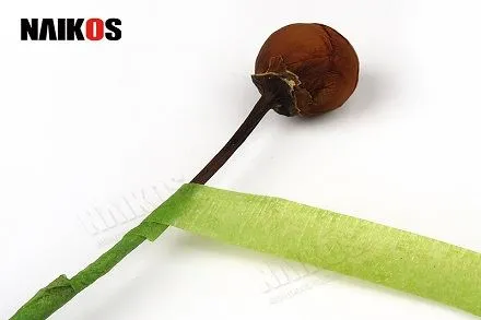 Barevná květinová páska navržená pro použití v květinových aranžmá